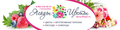 «Ягоды Цветы»